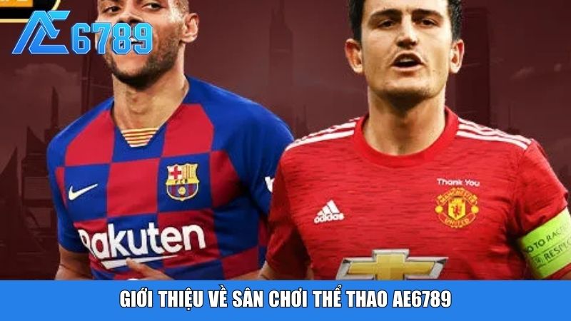 Giới thiệu về sân chơi thể thao Ae6789