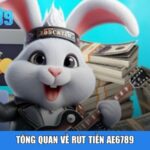 Tổng quan về rút tiền Ae6789
