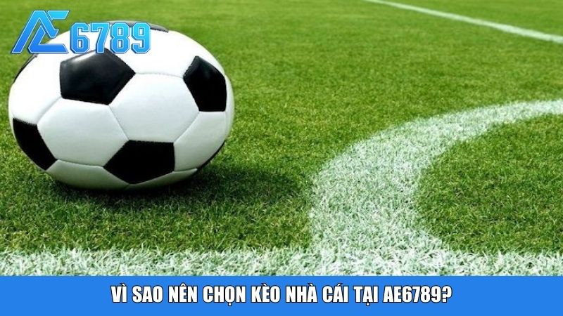 Vì sao nên chọn kèo nhà cái tại Ae6789?